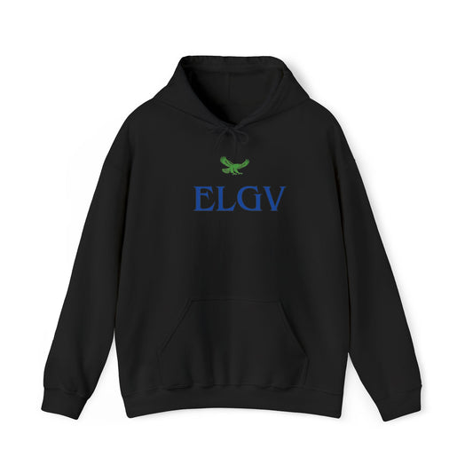 "Elevation with clarity” hoodie