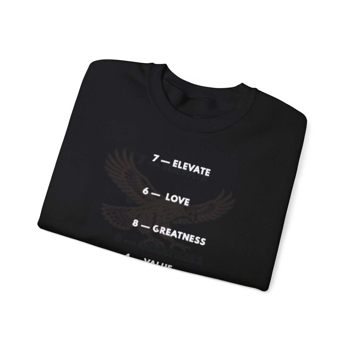 “The discipline formula” sweatshirt