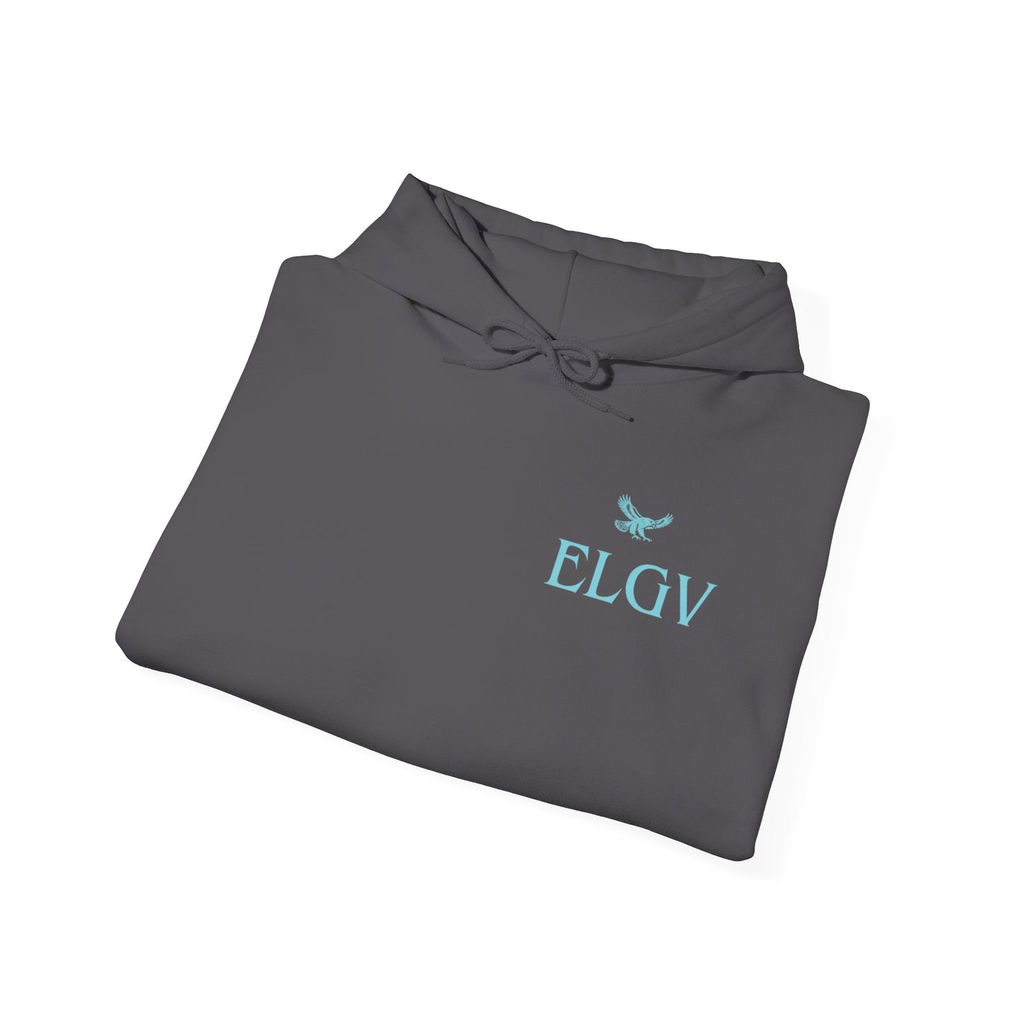 “Side ELGV logo aqua” hoodie