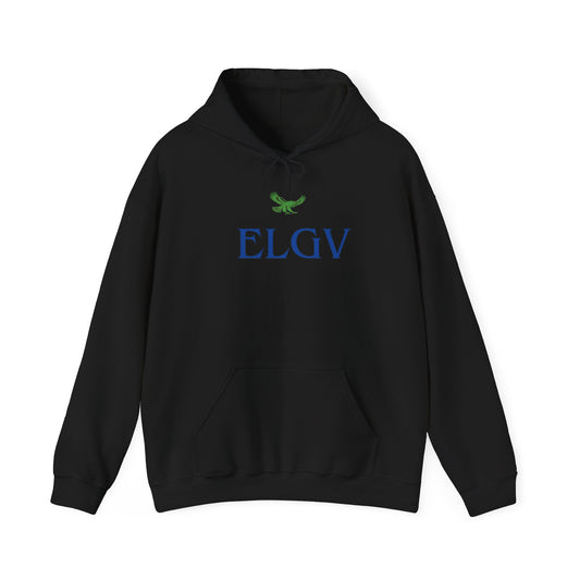 "Elevation with clarity” hoodie