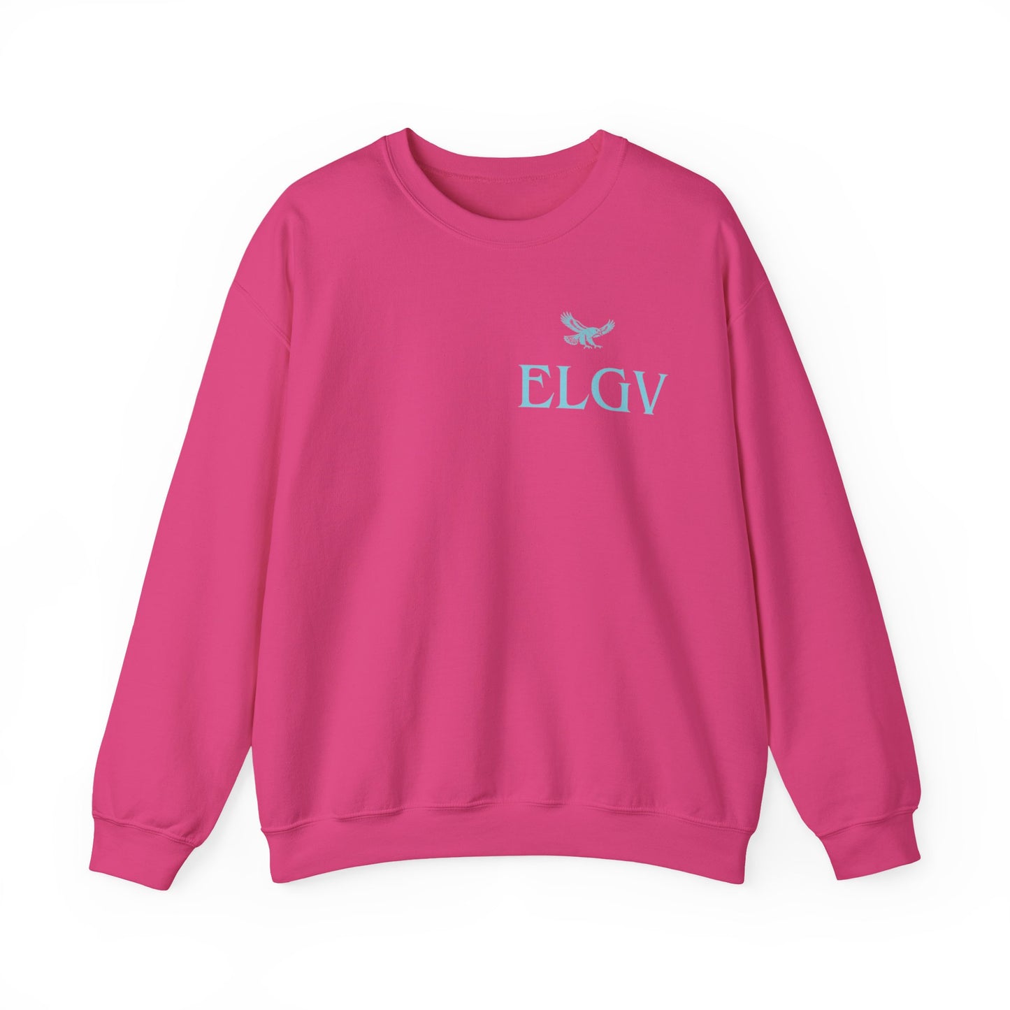 “Side ELGV logo aqua” sweatshirt
