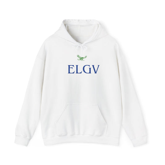 "Elevation with clarity” hoodie